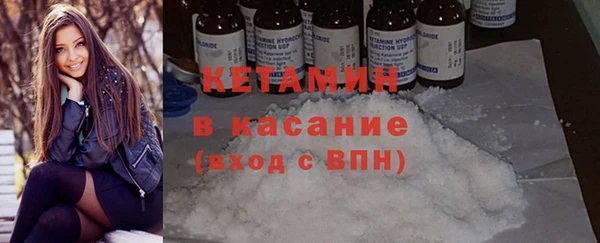 прущие грибы Абаза