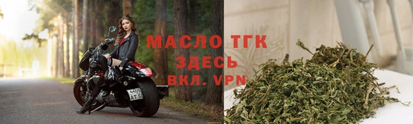 прущие грибы Абаза
