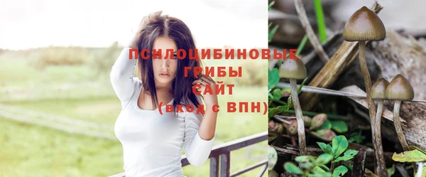 мескалин Навашино