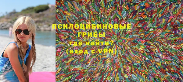 прущие грибы Абаза