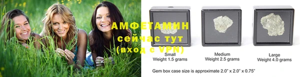 прущие грибы Абаза
