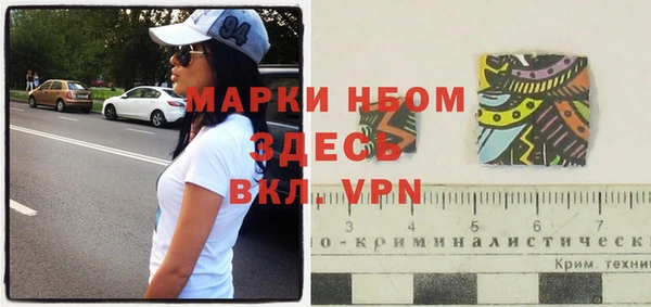 прущие грибы Абаза
